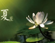 夏至節(jié)氣，廣西強(qiáng)壽藥業(yè)集團(tuán)提醒您注意防暑降溫