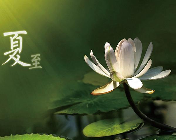 廣西強(qiáng)壽藥業(yè)集團(tuán)提醒您注意防暑降溫