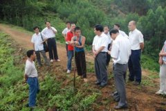 廣西南寧市副市長溫守榮對隆安縣中藥材種植情況展開調(diào)研